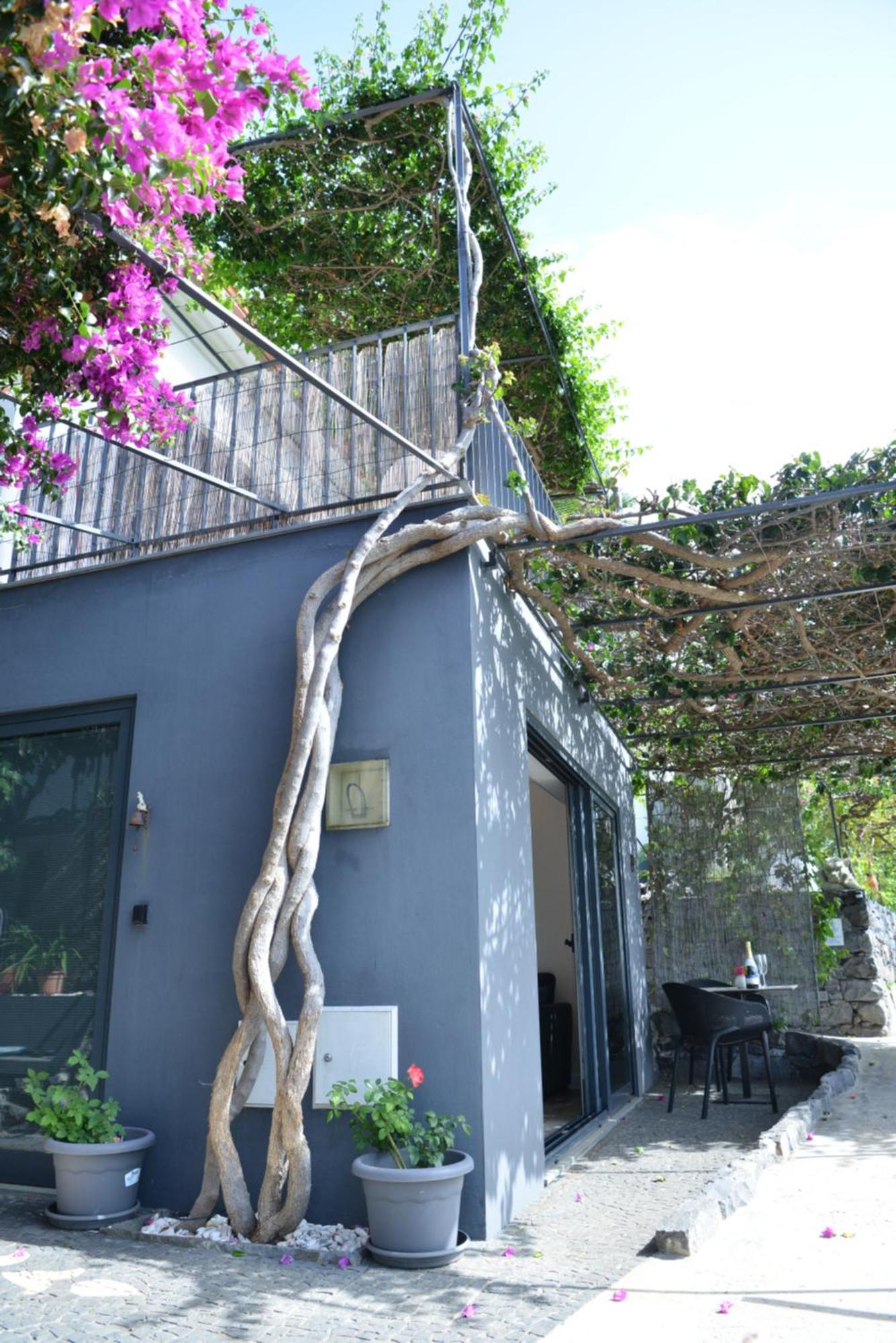 คิงตา กอลฟิงโญ Apartment อาร์โกดากาเลียตา ภายนอก รูปภาพ